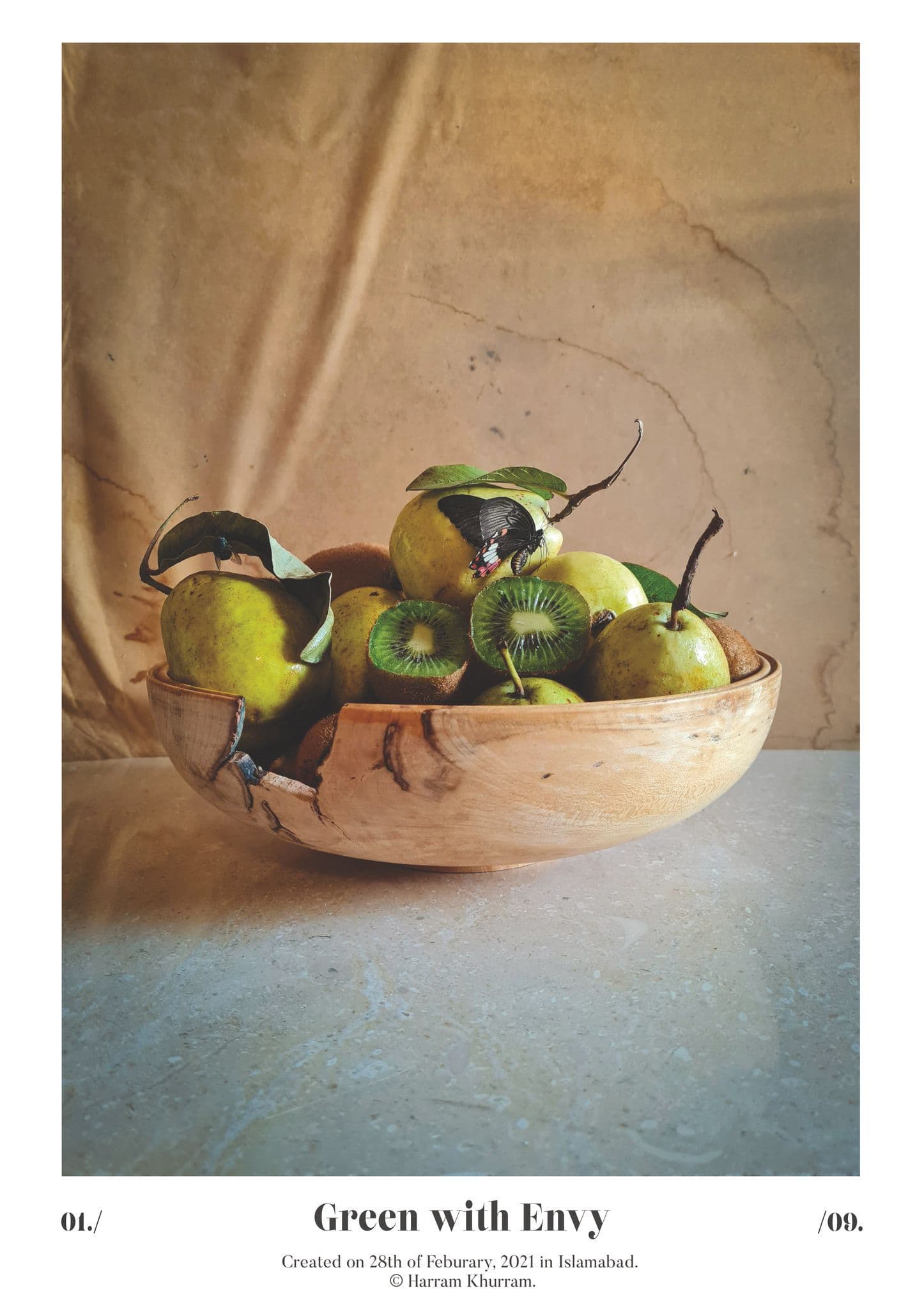 Flora Fauna and Merryweather — photograph 05