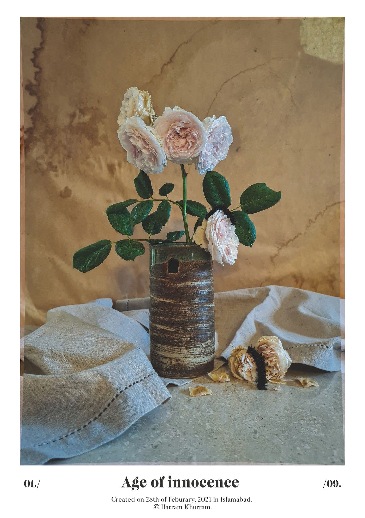 Flora Fauna and Merryweather — photograph 08