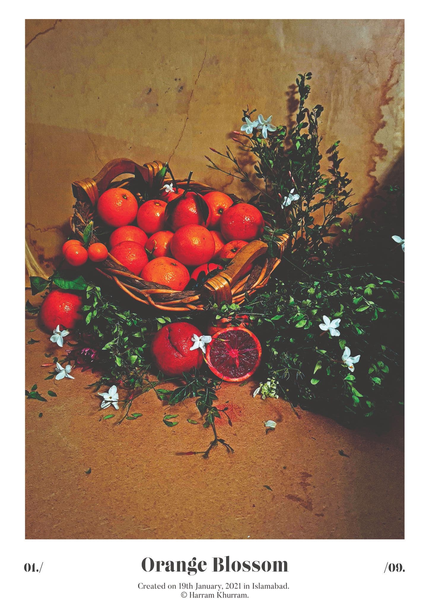 Flora Fauna and Merryweather — photograph 18