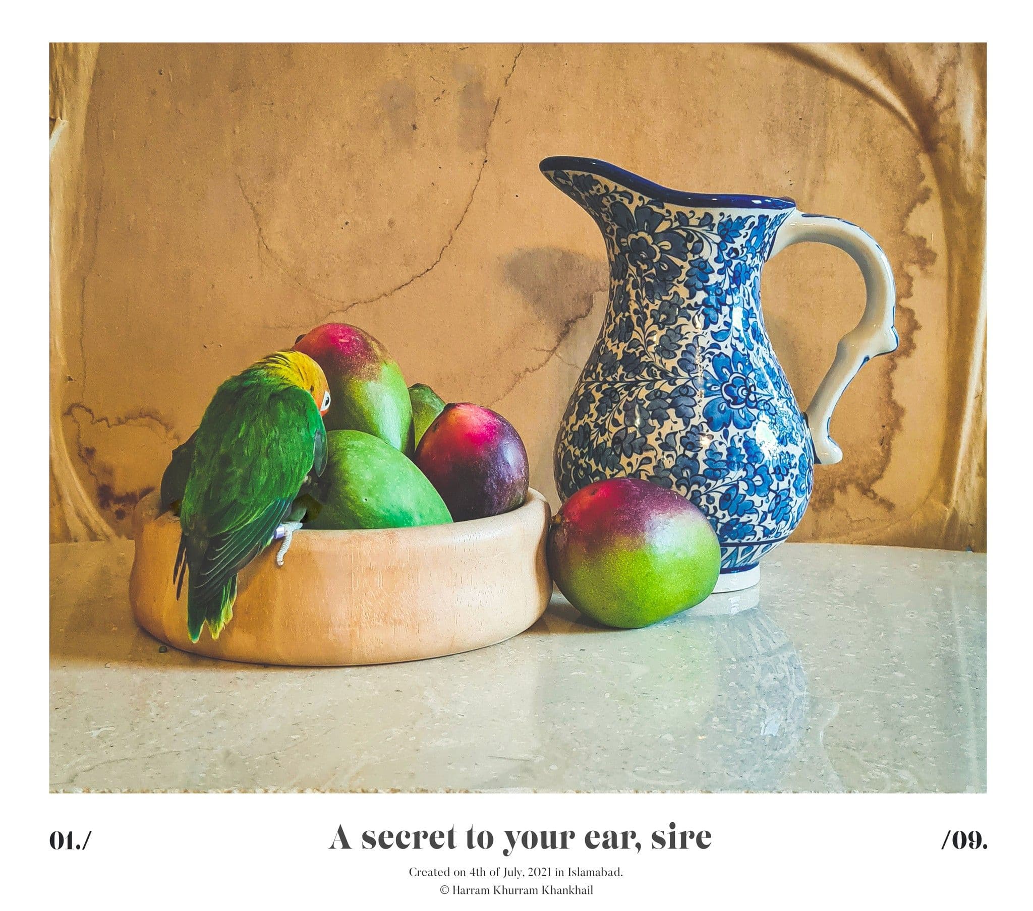 Flora Fauna and Merryweather — photograph 17