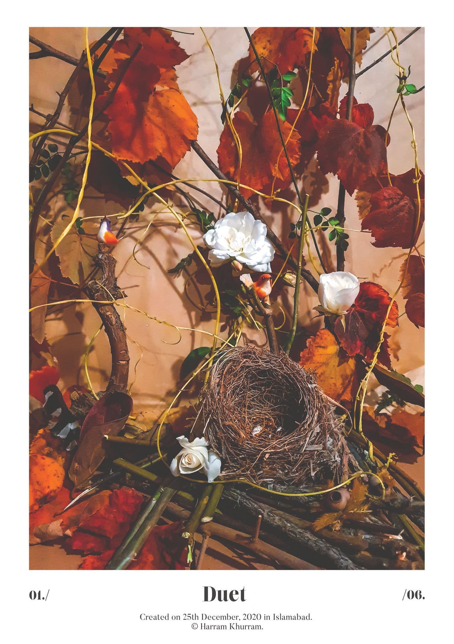 Flora Fauna and Merryweather — photograph 12